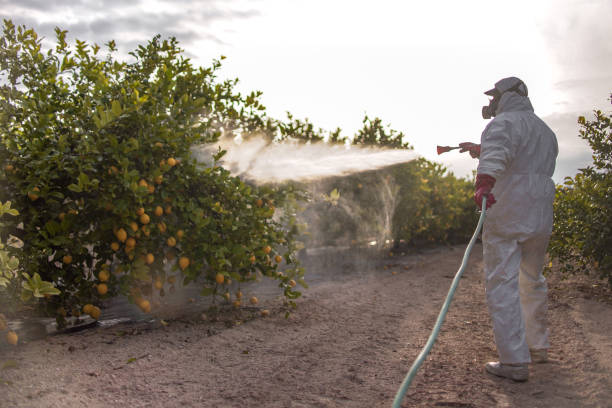 Best Local Pest Control Services  in Cleveland, TN