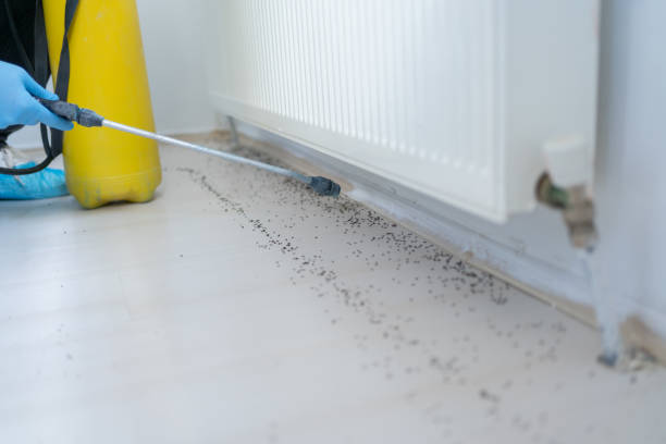 Best Pest Removal Services  in Cleveland, TN
