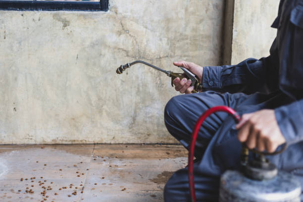 Best Exterminator Services  in Cleveland, TN