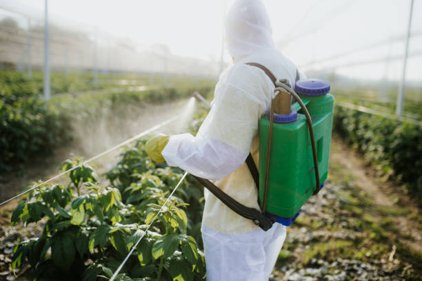 Best Flea Control Services  in Cleveland, TN